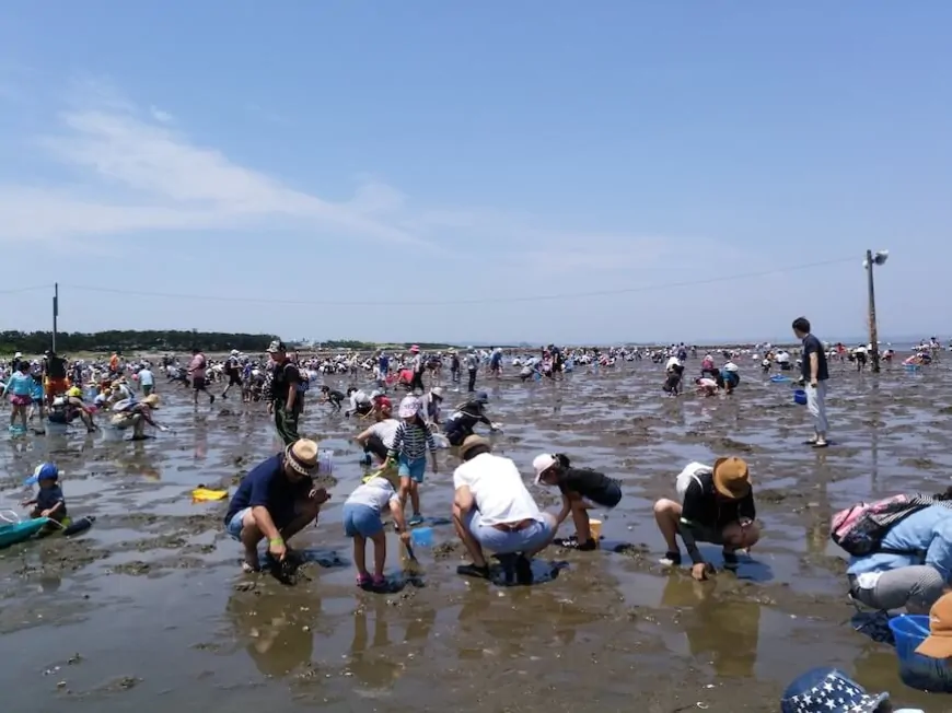 Trải nghiệm đào ngao tại Bãi biển Futtsu