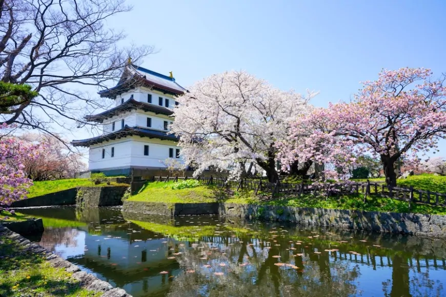 Matsumae Castle: Japan’s Northern Heritage