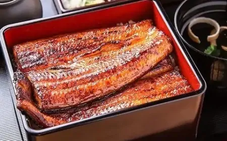 Why is eel so popular in Japan?