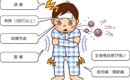 Japanese vocabulary: About colds