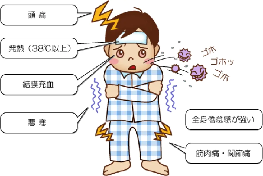 Japanese vocabulary: About colds