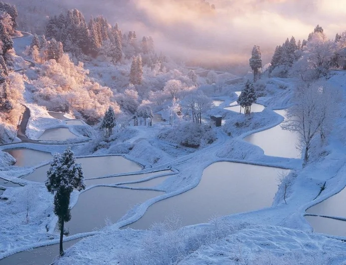 Khám phá sắc đẹp mùa đông tại Niigata