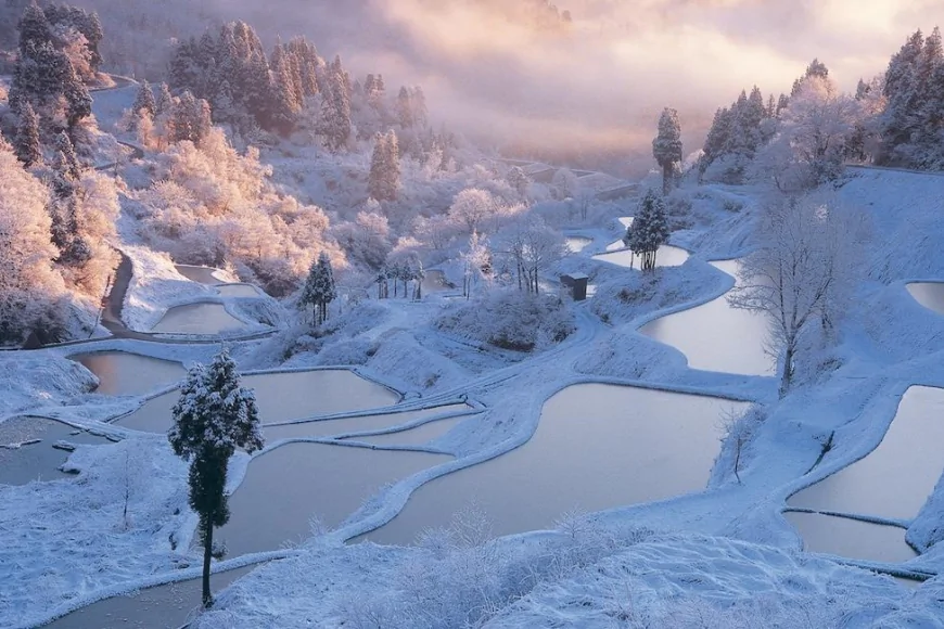 新潟県の冬の絶景