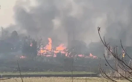 Why do forest fires occur?