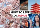 How to Live in Japan: A Complete Guide for Foreign Residents