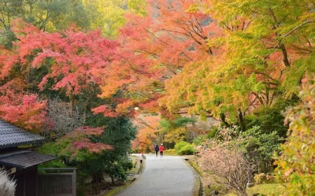 5 must-visit places in Japan during Autumn