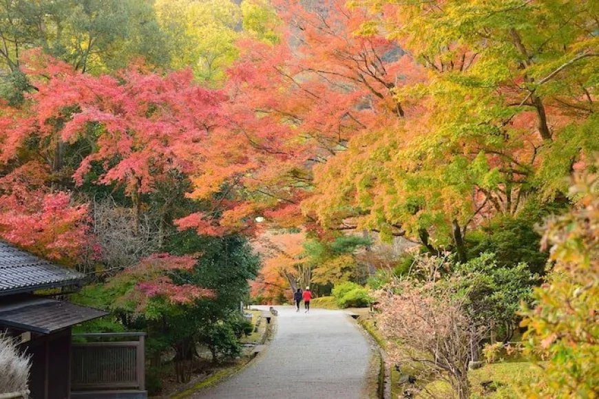 5 must-visit places in Japan during Autumn