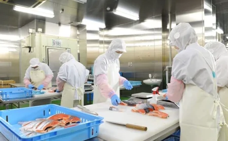 Lương làm xưởng thực phẩm tại Chiba bao nhiêu?